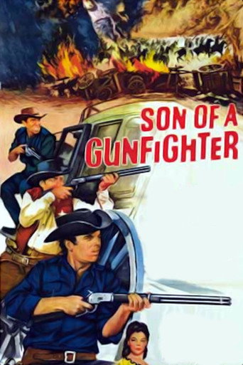 Son of a Gunfighter movie poster