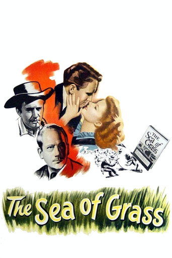 The Sea of Grass movie poster