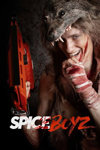 Spice Boyz movie poster