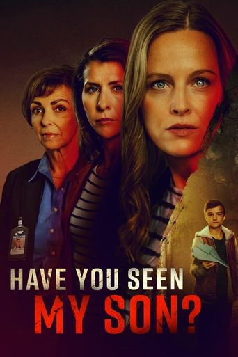 Have You Seen My Son? movie poster