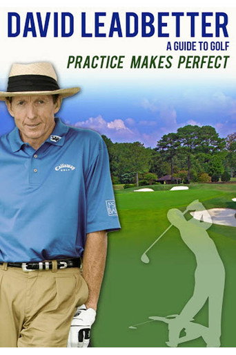 David Leadbetter : Practice Makes Perfect movie poster