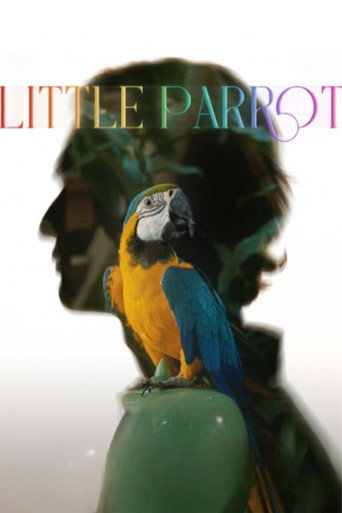 Little Parrot movie poster