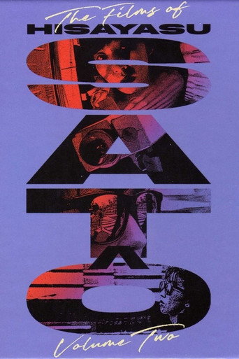 Unidentified Followed Objects (UFOs): An Interview with Hisayasu Sato movie poster