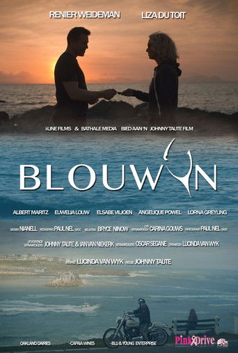 Blouwyn movie poster