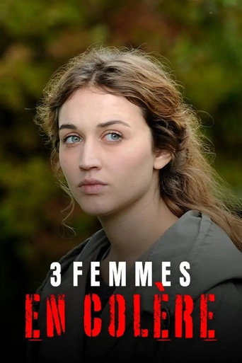 3 femmes en colère movie poster