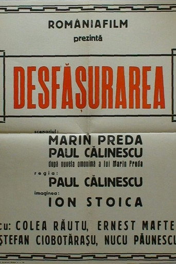 Desfasurarea movie poster