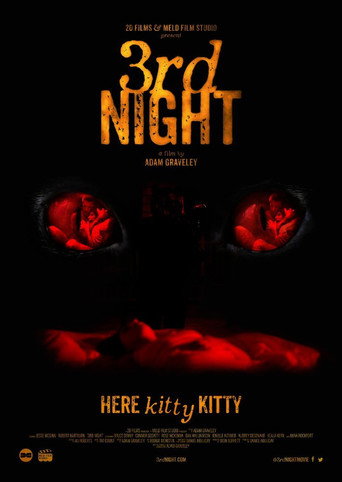 3rd Night movie poster