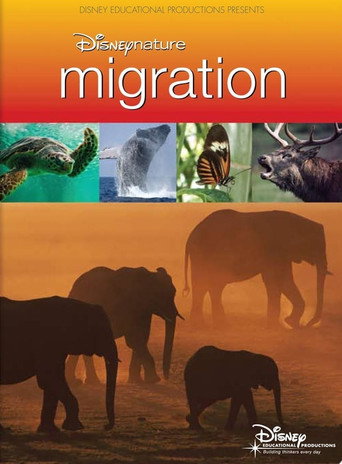 Disneynature: Migration movie poster