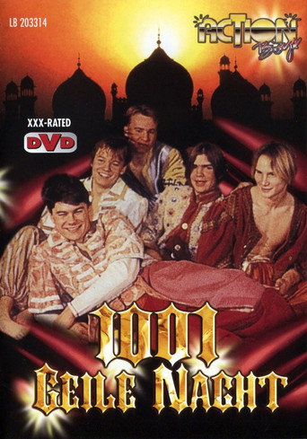 1001 Horny Nights movie poster