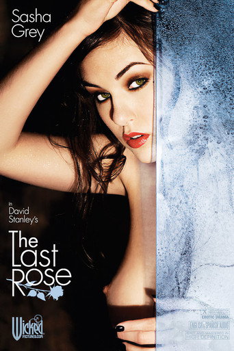 The Last Rose movie poster