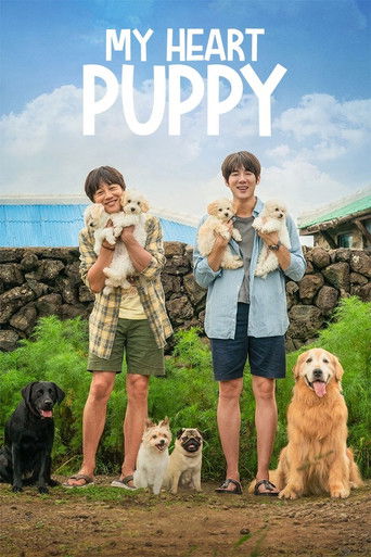 My Heart Puppy movie poster