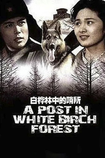 A Post in White Birch Forest movie poster