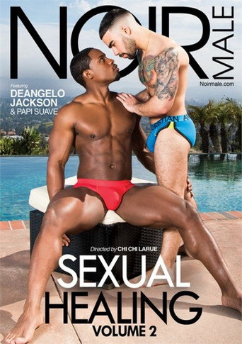 Sexual Healing 2 movie poster