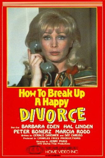 How to Break Up a Happy Divorce movie poster