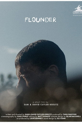 Flounder movie poster