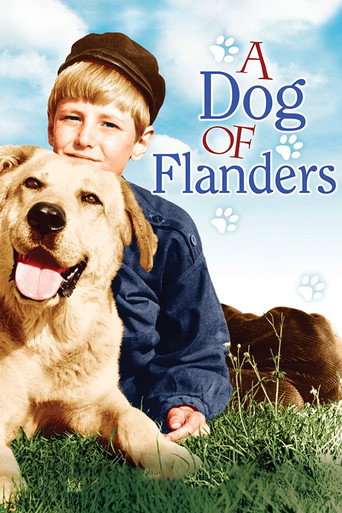 A Dog of Flanders movie poster