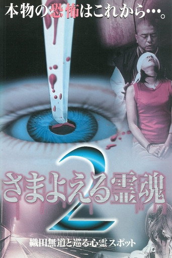 Wandering Souls 2: Exploring Haunted Spots with Oda Nobunaga movie poster