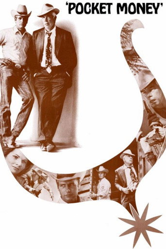 Pocket Money movie poster