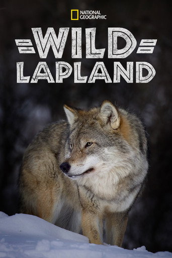 Wild Lapland movie poster