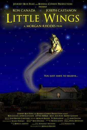 Little Wings movie poster