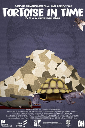 Tortoise in Time movie poster