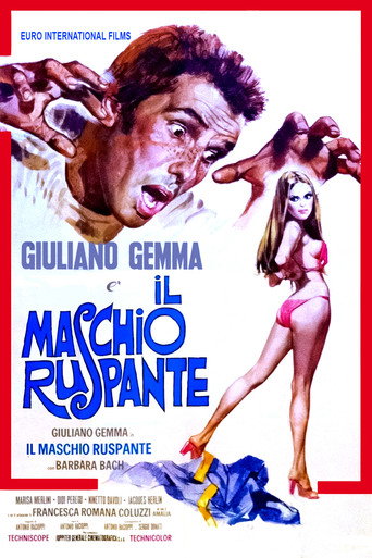 Il maschio ruspante movie poster