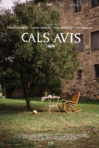 Cals Avis movie poster