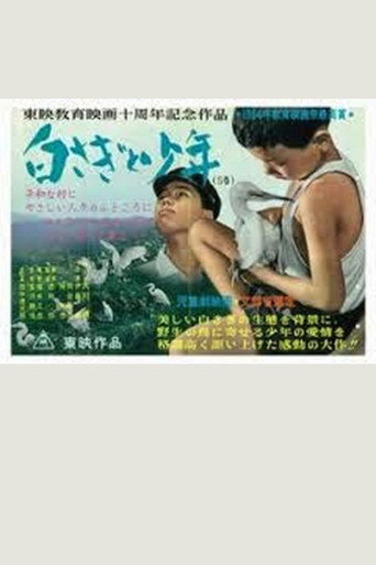 白さぎと少年 movie poster
