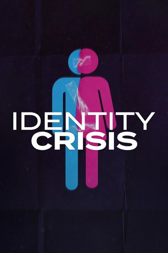 Identity Crisis movie poster