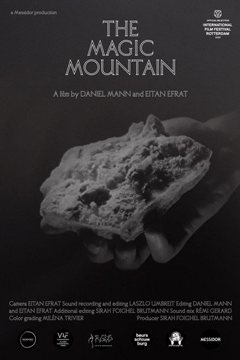 The Magic Mountain movie poster