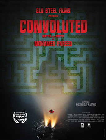 Convoluted movie poster