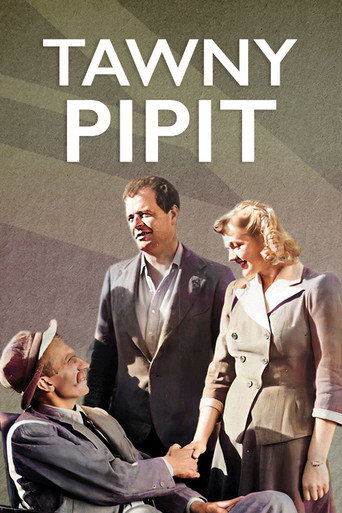 Tawny Pipit movie poster