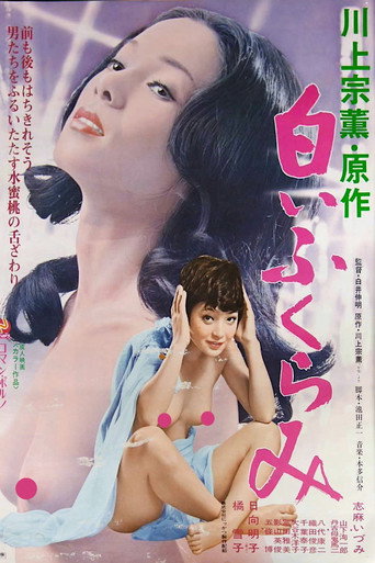 Shiroi fukurami movie poster