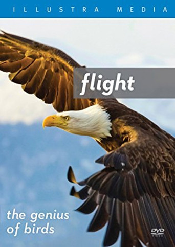 Flight: The Genius of Birds movie poster