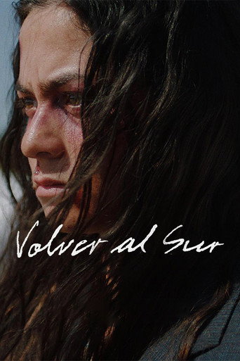 Returning South movie poster