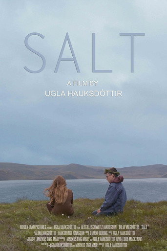 Salt movie poster