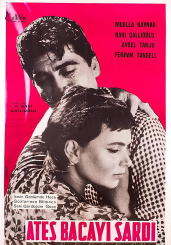 Ateş Bacayı Sardı movie poster