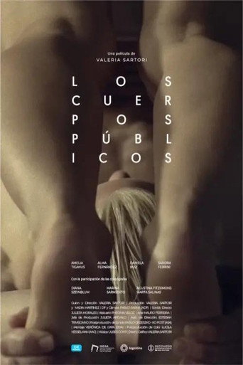 Public Bodies movie poster