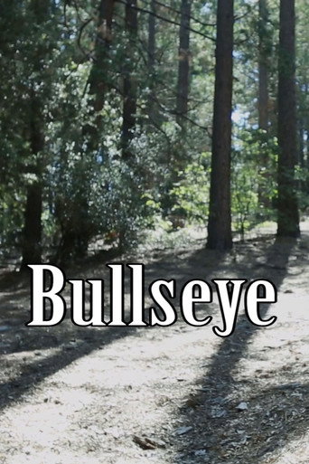 Bullseye movie poster