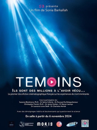 Témoins movie poster