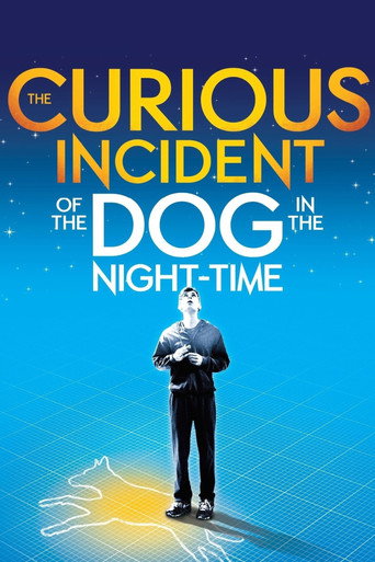National Theatre Live: The Curious Incident of the Dog in the Night-Time movie poster