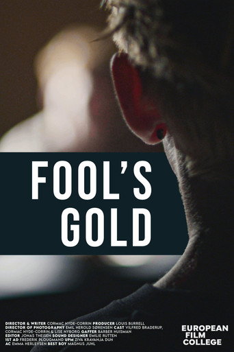 Fool's Gold movie poster