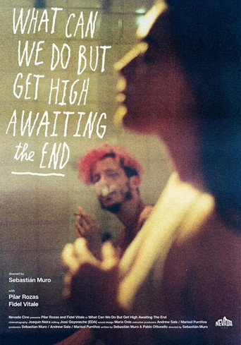 What Can We Do But Get High Awaiting the End movie poster