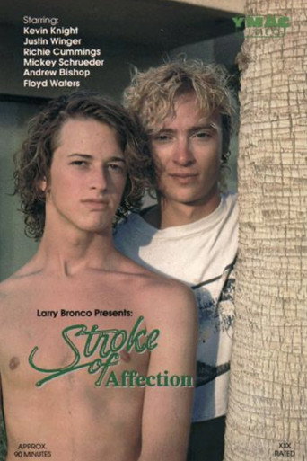 Stroke of Affection movie poster