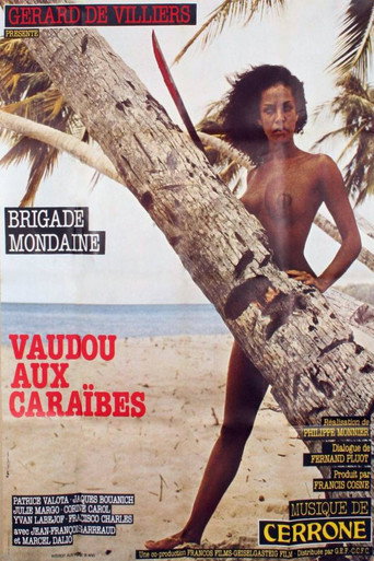 Brigade mondaine: Vaudou aux Caraïbes movie poster