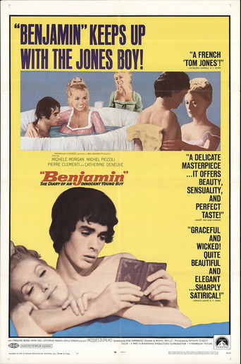 The Diary of an Innocent Boy movie poster