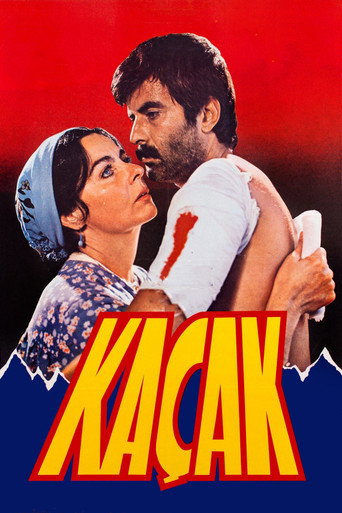 Kaçak movie poster