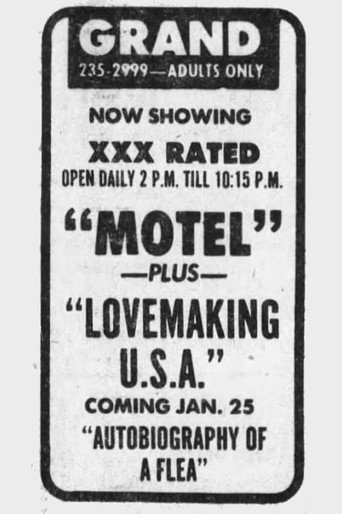 Lovemaking U.S.A. movie poster