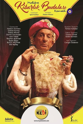 Kibarlık Budalası movie poster