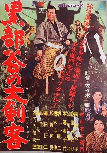 The Swordsman In The Golden Valley movie poster